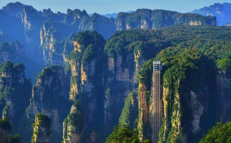 14-Day Panda and Zhangjiajie Family Tour